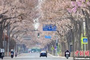 东平共建“花园城市” 北京这场议政会“百花齐放”