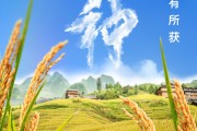 东平芒种节气小知识来了 夏种作物都有什么？