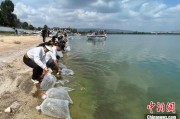 东平云南江川举行增殖放流活动 逾54万尾鱼游入星云湖