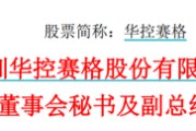 东平华控赛格董事长、董秘、副总经理三高管同日辞职