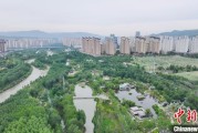 东平西宁市举办六五环境日主题宣传活动